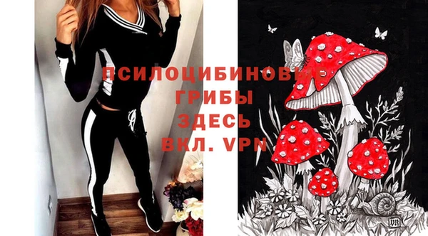 spice Сосновый Бор