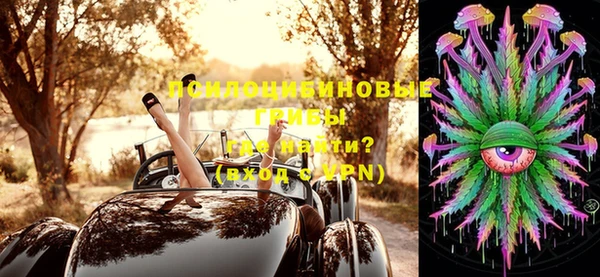 стаф Сосновоборск