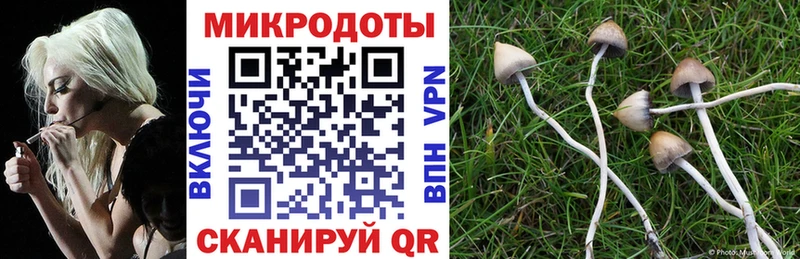 Купить  Югорск  Псилоцибиновые грибы Magic Shrooms 